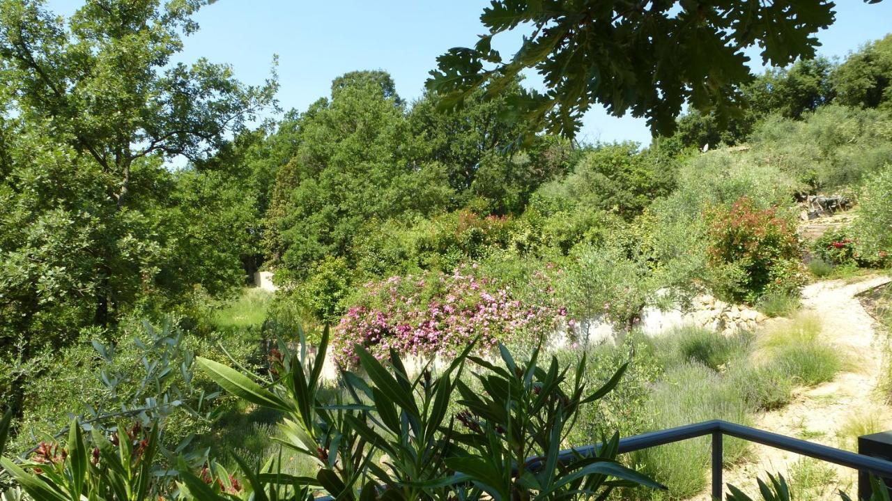 Le Vallon Des Oliviers Montauroux Exteriér fotografie